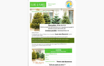 Vente de sapins de noël